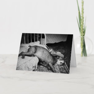 De Ochtend Erna Vintage Grappige Dronken Hond Folie Wenskaart