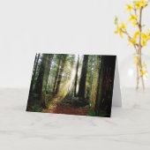 De Ochtend van de Californische sequoia Kaart (Gele Bloem)