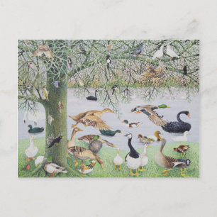 De Odd Duck Briefkaart