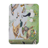 De Odd Duck Magneet (Verticaal)