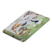 De Odd Duck Magneet (Linkerzijde)