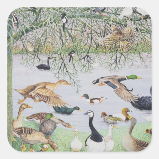 De Odd Duck Vierkante Sticker (Voorkant)