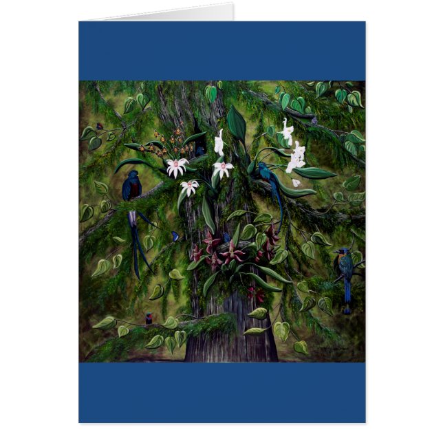 De Oerwouden van Tikal (Voorkant)