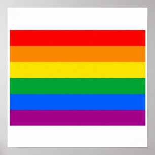 DE OFFICIËLE VROLIJKE VLAG VAN DE TROTS POSTER
