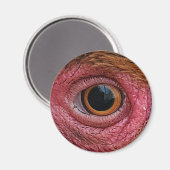 "De ogen hebben het" Chicken Eye #1 Magnet Magneet (Voorkant / Achterkant)