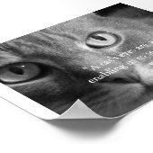 De ogen van een kat... poster (Hoek)