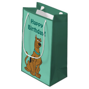 De Ogen van het Puppy scooby-Doo Klein Cadeauzakje