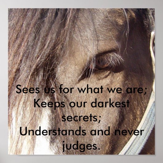 De ogen van Wisdom Poster (Voorkant)