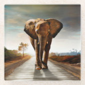 De olifant glazen onderzetter (Voorkant)