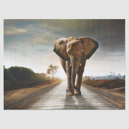 De olifant tissuepapier (Voorkant)