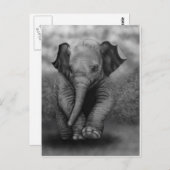 De Olifant van het baby Briefkaart (Voorkant / Achterkant)