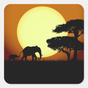 De olifanten van de safari bij zonsondergang vierkante sticker