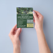 De olijfbomen, Van Gogh, een voedselwinkel voor de Flyer (Hand)