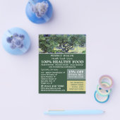 De olijfbomen, Van Gogh, een voedselwinkel voor de Flyer (Enkel)