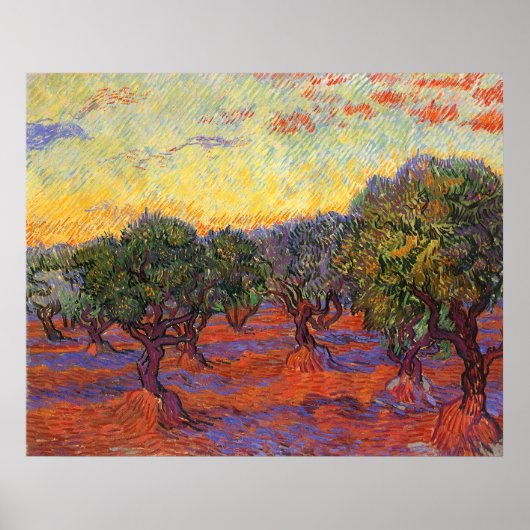De Olive Grove, Vincent Van Gogh Poster (Voorkant)