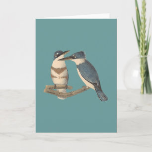 De omgorde Ijsvogel	 (Alcedo alcyon) Kaart