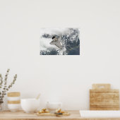 De onderkant van de ruimteshuttle Discovery Poster (Keuken)