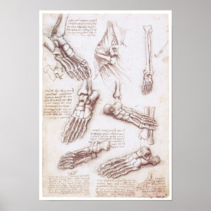 De onderste uitholling, Leonardo da Vinci Poster