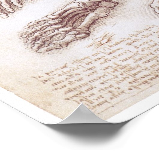 De onderste uitholling, Leonardo da Vinci Poster (Hoek)