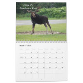 De One & Only Greenville Muur Kalender (Mar 2026)