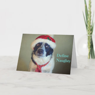 De ongehoorzame Kerstkaart van Border collie Feestdagen Kaart