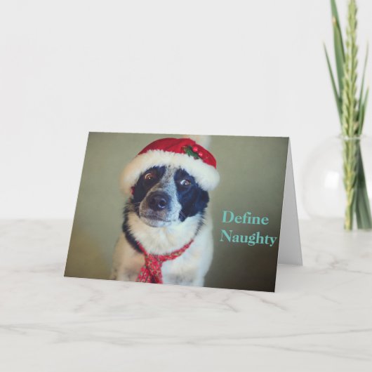 De ongehoorzame Kerstkaart van Border collie Feestdagen Kaart (Voorkant)