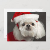 De onhandige hond van de Kerstman Feestdagenkaart (Voorkant / Achterkant)