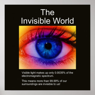 De onzichtbare wereld poster