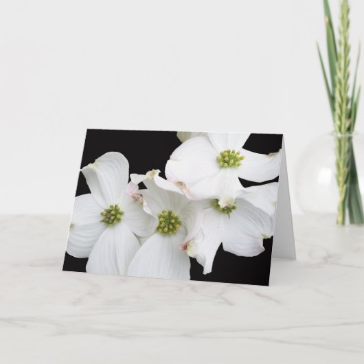 De oostelijke Bloesems van de Kornoelje - Cornus Feestdagen Kaart (Voorkant)