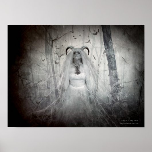 De opstanding van Bathory Poster (Voorkant)