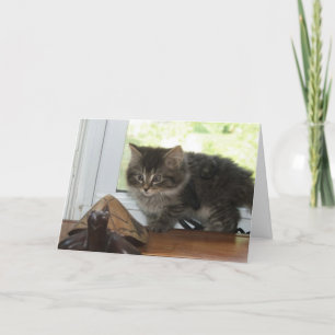 De opwindende Wensen van de Verjaardag Kaart