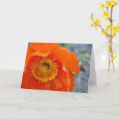 De oranje Bloem Kaart (Gele Bloem)