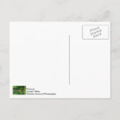 De Oranje boot Briefkaart (Achterkant)