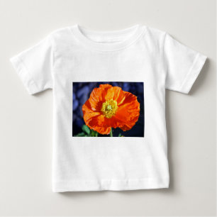De oranje Ijslandse Foto van de Papaver