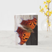 De oranje kaart van de Nota van de Vlinder (Gele Bloem)