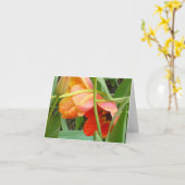 De oranje Kaarten van de Nota van het (Gele Bloem)