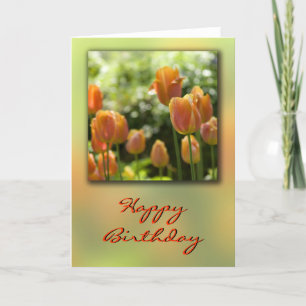 De oranje Tulp bloeit de Kaart van de Verjaardag