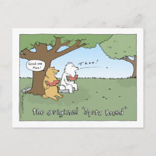 De originele Cartoon "Spitz Breed" Briefkaart