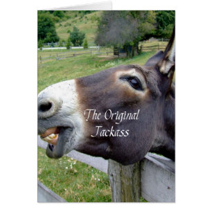 De originele Jackass Funny Donkey Mule Boerderij A