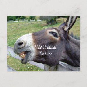De originele Jackass Funny Donkey Mule Boerderij A Briefkaart