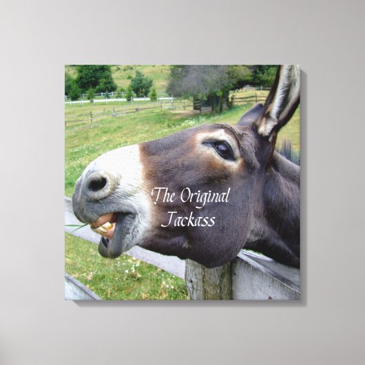 De originele Jackass Funny Donkey Mule Boerderij A Canvas Afdruk (Voorkant)