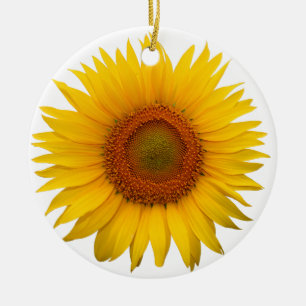 De Ornamenten van Kerstmis van de zonnebloem
