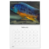 De Oscar Spot Kalender (Feb 2026)