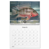 De Oscar Spot Kalender (Mar 2026)