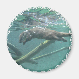 De Otter Magnet Magneet