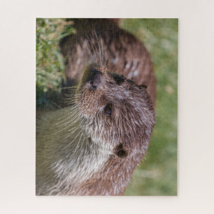 De Otter Resting van Eurazië op zonneschijn Legpuzzel