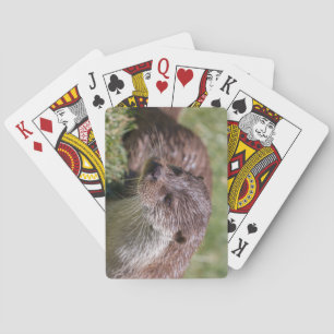 De Otter Resting van Eurazië op zonneschijn Pokerkaarten