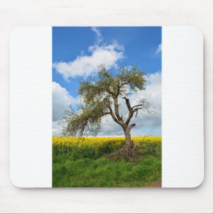 De oude boom muismat