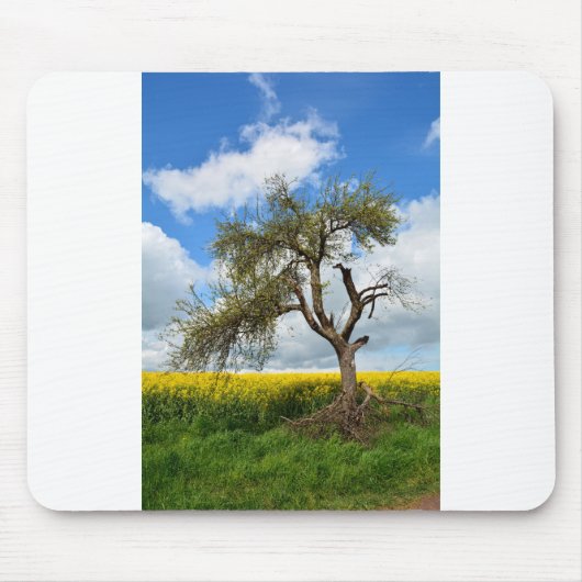 De oude boom muismat (Voorkant)