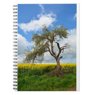 De oude boom notitieboek